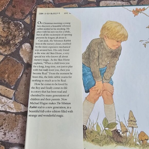 The Velveteen Rabbit Hardcover Book Margery Williams Illustrated Michael Hague - Picture 5 of 8